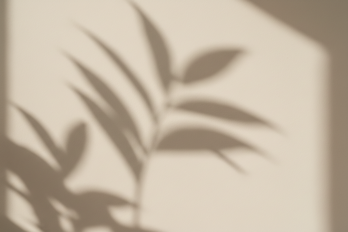 Soft botanical shadow on a warm wall — present, unhurried, undemanding.