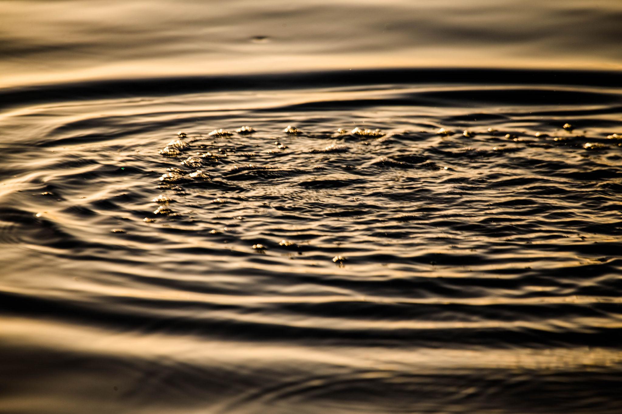 Golden light on dark water, ripples moving outward and settling — the quiet return to stillness.