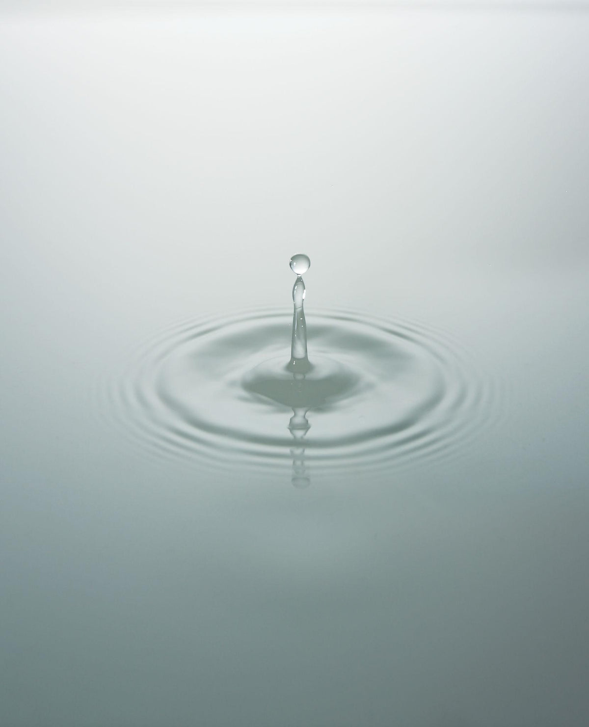 Water drop A single water droplet caught mid-rise above a still, pale surface, ripples spreading outward in perfect circles — a moment of quiet impact and gentle change.