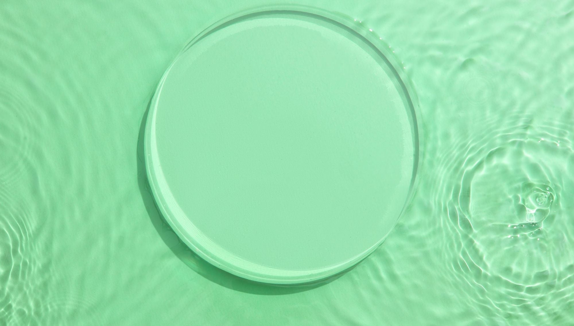 a clear water droplet on a soft green surface